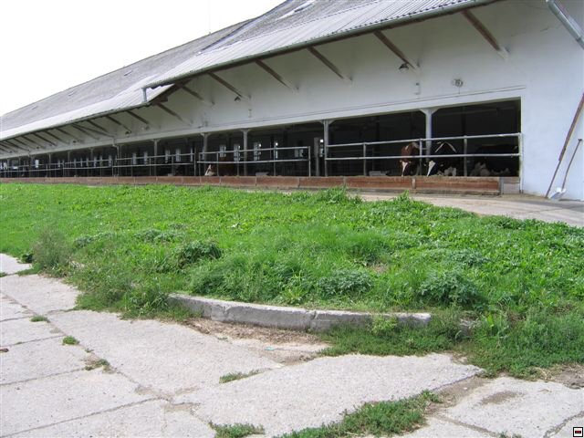 Troubelice 2006 029.jpg
